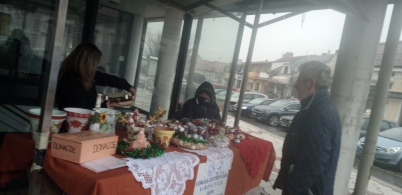 Borba protiv rodnouvjetovanog nasilja u Virovitici