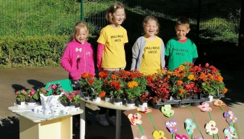 Biljka za MD - prikupljena sredstva za dizalicu za transfere!