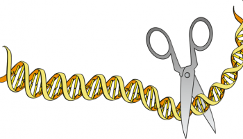Online Medicinsko savjetovalište SDDH