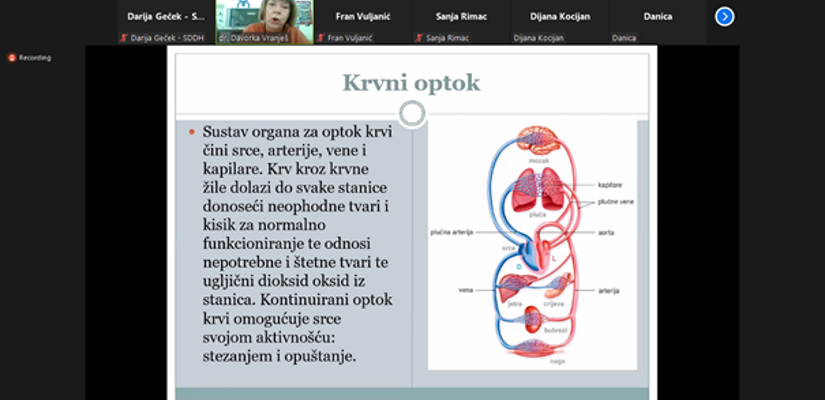 Medicinsko savjetovalište SDDH - Neuromišićne bolesti i poremećaji perifernog krvotoka