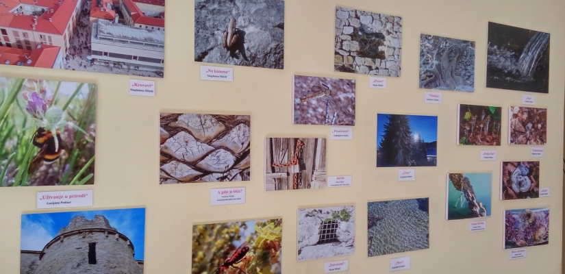 Za početak tjedna priča jedna - UTI Zadarske županije