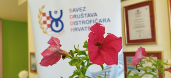 Biljka za MD 2026.
