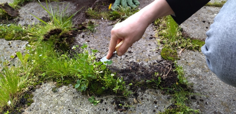 Nastavljena dobra praksa provedbe volonterskih akcija u Novom Jelkovcu