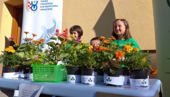 Biljka za MD u Velikoj Mlaki