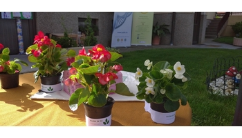 Započela provedba Kampanje  ''Biljka za MD''