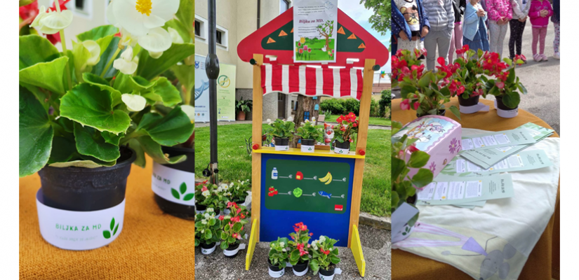Započela provedba Kampanje  ''Biljka za MD''